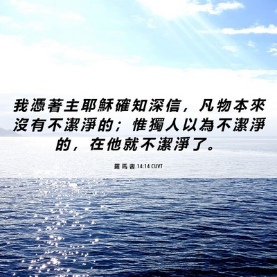 Picture 06 - 羅 馬 書 14:14 CUVT - 我 憑 著 主 耶 穌 確 知 深 信 ， 凡 - Bible Verse Picture