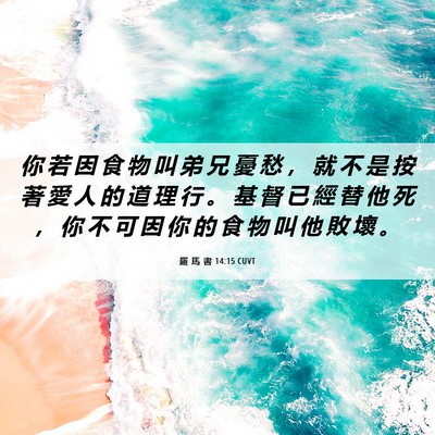 Picture 06 - 羅 馬 書 14:15 CUVT - 你 若 因 食 物 叫 弟 兄 憂 愁 ， 就 - Bible Verse Picture