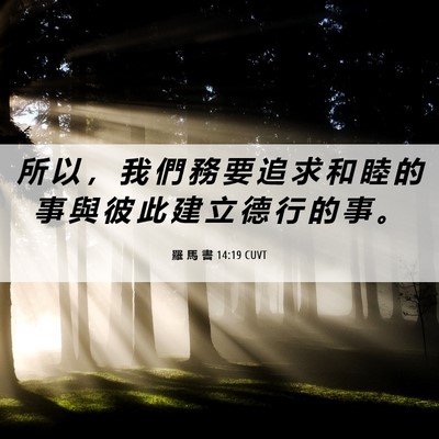 Picture 06 - 羅 馬 書 14:19 CUVT - 所 以 ， 我 們 務 要 追 求 和 睦 的 - Bible Verse Picture