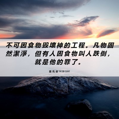 Picture 06 - 羅 馬 書 14:20 CUVT - 不 可 因 食 物 毀 壞 神 的 工 程 。 - Bible Verse Picture