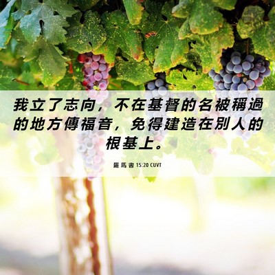 Picture 06 - 羅 馬 書 15:20 CUVT - 我 立 了 志 向 ， 不 在 基 督 的 名 - Bible Verse Picture