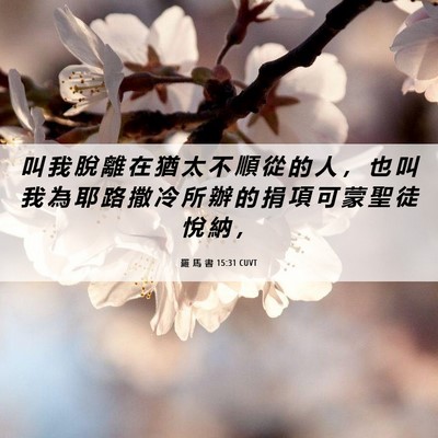 Picture 06 - 羅 馬 書 15:31 CUVT - 叫 我 脫 離 在 猶 太 不 順 從 的 人 - Bible Verse Picture