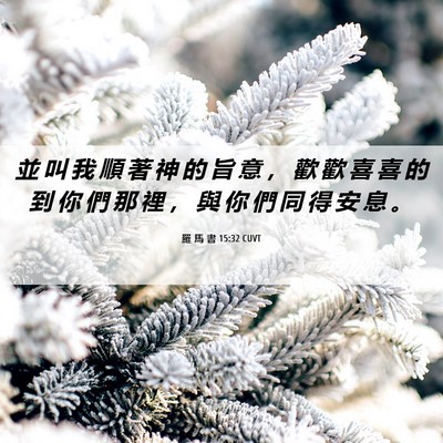 Picture 06 - 羅 馬 書 15:32 CUVT - 並 叫 我 順 著 神 的 旨 意 ， 歡 歡 - Bible Verse Picture