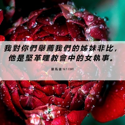 Picture 06 - 羅 馬 書 16:1 CUVT - 我 對 你 們 舉 薦 我 們 的 姊 妹 非 - Bible Verse Picture