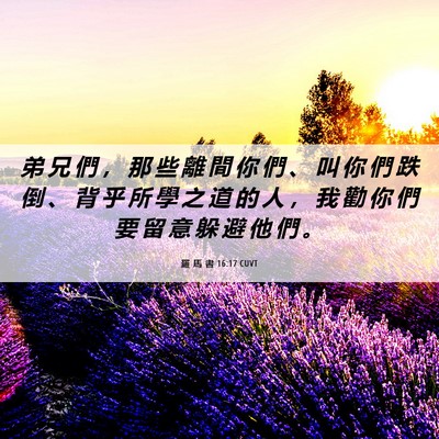 Picture 06 - 羅 馬 書 16:17 CUVT - 弟 兄 們 ， 那 些 離 間 你 們 、 叫 - Bible Verse Picture
