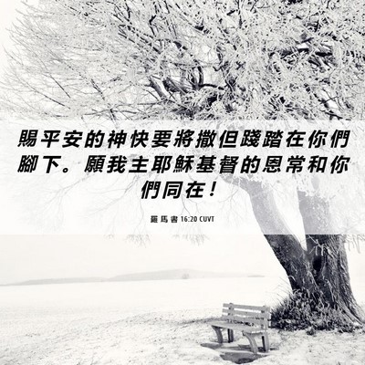 Picture 06 - 羅 馬 書 16:20 CUVT - 賜 平 安 的 神 快 要 將 撒 但 踐 踏 - Bible Verse Picture
