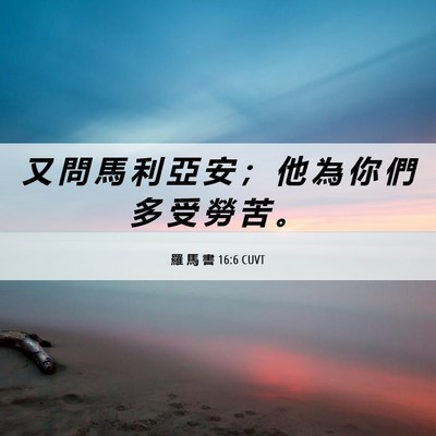 Picture 06 - 羅 馬 書 16:6 CUVT - 又 問 馬 利 亞 安 ； 他 為 你 們 多 - Bible Verse Picture
