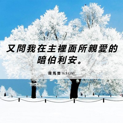 Picture 06 - 羅 馬 書 16:8 CUVT - 又 問 我 在 主 裡 面 所 親 愛 的 暗 - Bible Verse Picture