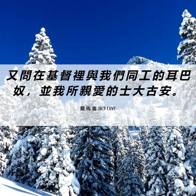 Picture 06 - 羅 馬 書 16:9 CUVT - 又 問 在 基 督 裡 與 我 們 同 工 的 - Bible Verse Picture
