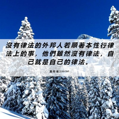 Picture 06 - 羅 馬 書 2:14 CUVT - 沒 有 律 法 的 外 邦 人 若 順 著 本 - Bible Verse Picture