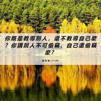 Picture 06 - 羅 馬 書 2:21 CUVT - 你 既 是 教 導 別 人 ， 還 不 教 導 - Bible Verse Picture