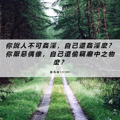 Picture 06 - 羅 馬 書 2:22 CUVT - 你 說 人 不 可 姦 淫 ， 自 己 還 姦 - Bible Verse Picture