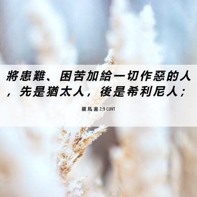 Picture 06 - 羅 馬 書 2:9 CUVT - 將 患 難 、 困 苦 加 給 一 切 作 惡 - Bible Verse Picture