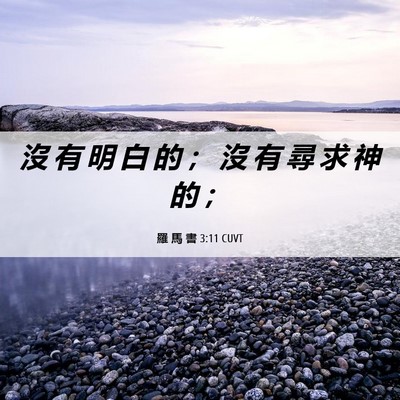 Picture 06 - 羅 馬 書 3:11 CUVT - 沒 有 明 白 的 ； 沒 有 尋 求 神 的 - Bible Verse Picture