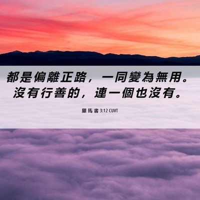 Picture 06 - 羅 馬 書 3:12 CUVT - 都 是 偏 離 正 路 ， 一 同 變 為 無 - Bible Verse Picture