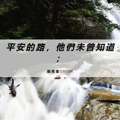 Picture 06 - 羅 馬 書 3:17 CUVT - 平 安 的 路 ， 他 們 未 曾 知 道 - Bible Verse Picture
