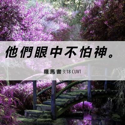 Picture 06 - 羅 馬 書 3:18 CUVT - 他 們 眼 中 不 怕 神 - Bible Verse Picture