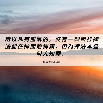 Picture 06 - 羅 馬 書 3:20 CUVT - 所 以 凡 有 血 氣 的 ， 沒 有 一 個 - Bible Verse Picture