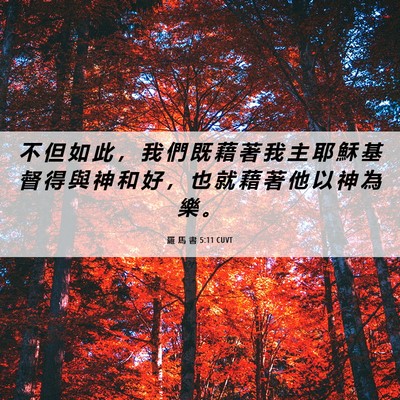 Picture 06 - 羅 馬 書 5:11 CUVT - 不 但 如 此 ， 我 們 既 藉 著 我 主 - Bible Verse Picture