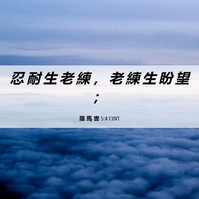 Picture 06 - 羅 馬 書 5:4 CUVT - 忍 耐 生 老 練 ， 老 練 生 盼 望 - Bible Verse Picture