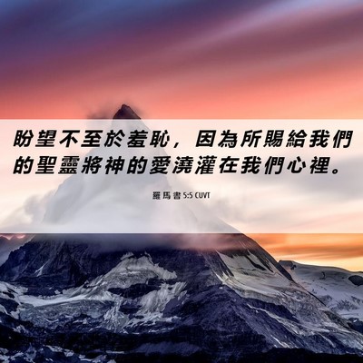 Picture 06 - 羅 馬 書 5:5 CUVT - 盼 望 不 至 於 羞 恥 ， 因 為 所 賜 - Bible Verse Picture