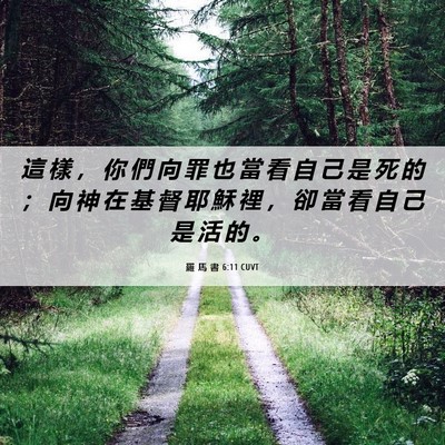 Picture 06 - 羅 馬 書 6:11 CUVT - 這 樣 ， 你 們 向 罪 也 當 看 自 己 - Bible Verse Picture