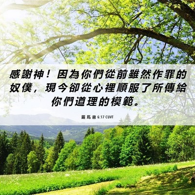 Picture 06 - 羅 馬 書 6:17 CUVT - 感 謝 神 ！ 因 為 你 們 從 前 雖 然 - Bible Verse Picture