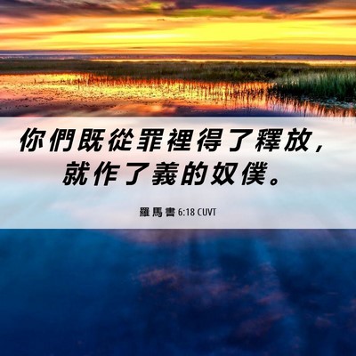 Picture 06 - 羅 馬 書 6:18 CUVT - 你 們 既 從 罪 裡 得 了 釋 放 ， 就 - Bible Verse Picture