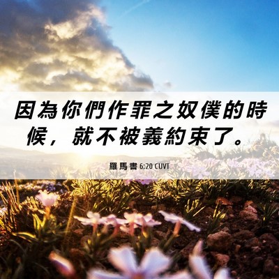 Picture 06 - 羅 馬 書 6:20 CUVT - 因 為 你 們 作 罪 之 奴 僕 的 時 候 - Bible Verse Picture