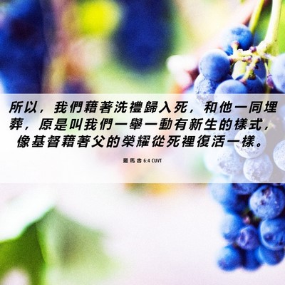Picture 06 - 羅 馬 書 6:4 CUVT - 所 以 ， 我 們 藉 著 洗 禮 歸 入 死 - Bible Verse Picture