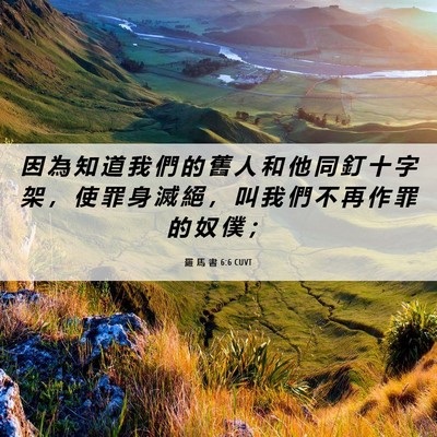 Picture 06 - 羅 馬 書 6:6 CUVT - 因 為 知 道 我 們 的 舊 人 和 他 同 - Bible Verse Picture