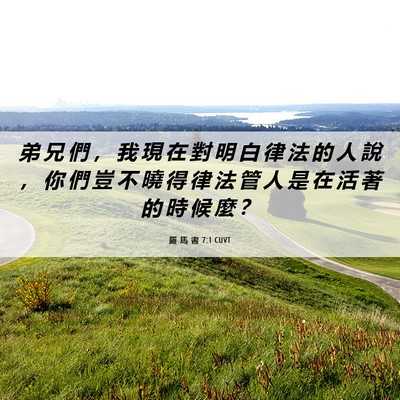 Picture 06 - 羅 馬 書 7:1 CUVT - 弟 兄 們 ， 我 現 在 對 明 白 律 法 - Bible Verse Picture