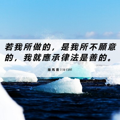Picture 06 - 羅 馬 書 7:16 CUVT - 若 我 所 做 的 ， 是 我 所 不 願 意 - Bible Verse Picture