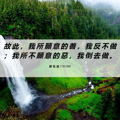 Picture 06 - 羅 馬 書 7:19 CUVT - 故 此 ， 我 所 願 意 的 善 ， 我 反 - Bible Verse Picture