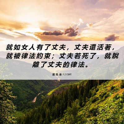 Picture 06 - 羅 馬 書 7:2 CUVT - 就 如 女 人 有 了 丈 夫 ， 丈 夫 還 - Bible Verse Picture