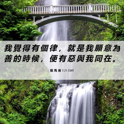 Picture 06 - 羅 馬 書 7:21 CUVT - 我 覺 得 有 個 律 ， 就 是 我 願 意 - Bible Verse Picture