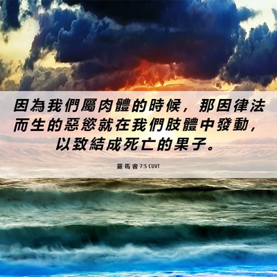 Picture 06 - 羅 馬 書 7:5 CUVT - 因 為 我 們 屬 肉 體 的 時 候 ， 那 - Bible Verse Picture