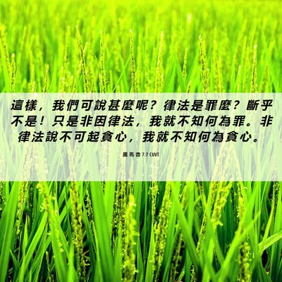 Picture 06 - 羅 馬 書 7:7 CUVT - 這 樣 ， 我 們 可 說 甚 麼 呢 ？ 律 - Bible Verse Picture