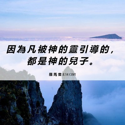 Picture 06 - 羅 馬 書 8:14 CUVT - 因 為 凡 被 神 的 靈 引 導 的 ， 都 - Bible Verse Picture