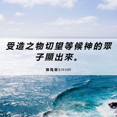 Picture 06 - 羅 馬 書 8:19 CUVT - 受 造 之 物 切 望 等 候 神 的 眾 子 - Bible Verse Picture
