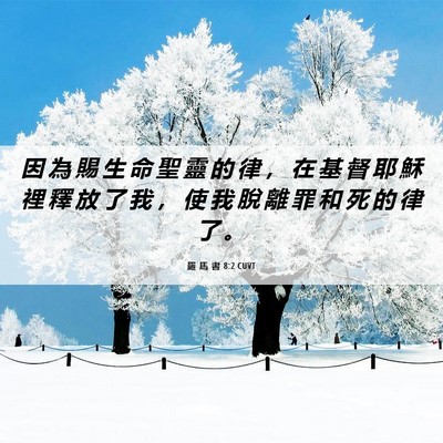 Picture 06 - 羅 馬 書 8:2 CUVT - 因 為 賜 生 命 聖 靈 的 律 ， 在 基 - Bible Verse Picture