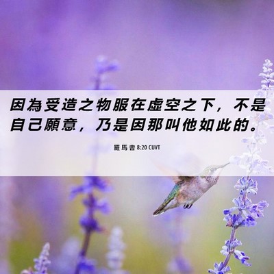 Picture 06 - 羅 馬 書 8:20 CUVT - 因 為 受 造 之 物 服 在 虛 空 之 下 - Bible Verse Picture