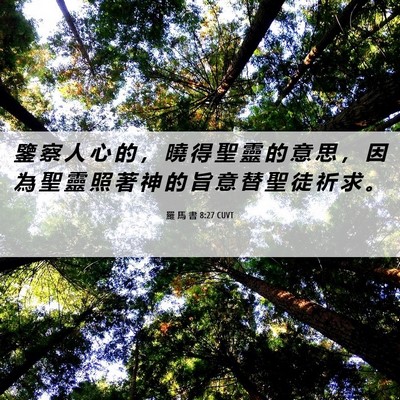 Picture 06 - 羅 馬 書 8:27 CUVT - 鑒 察 人 心 的 ， 曉 得 聖 靈 的 意 - Bible Verse Picture