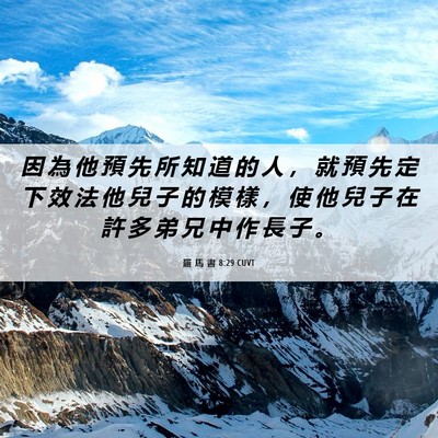Picture 06 - 羅 馬 書 8:29 CUVT - 因 為 他 預 先 所 知 道 的 人 ， 就 - Bible Verse Picture