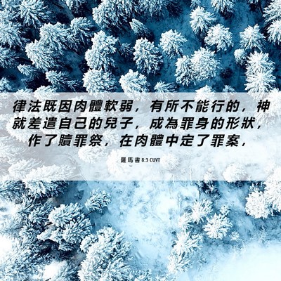 Picture 06 - 羅 馬 書 8:3 CUVT - 律 法 既 因 肉 體 軟 弱 ， 有 所 不 - Bible Verse Picture