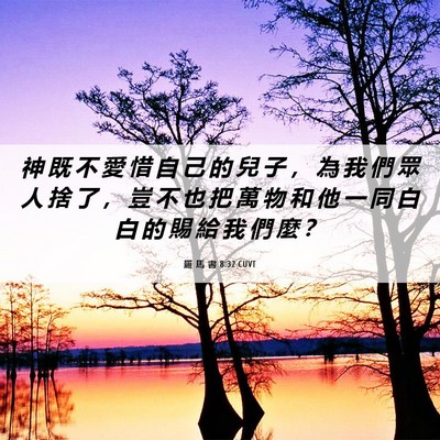 Picture 06 - 羅 馬 書 8:32 CUVT - 神 既 不 愛 惜 自 己 的 兒 子 ， 為 - Bible Verse Picture