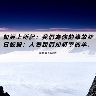 Picture 06 - 羅 馬 書 8:36 CUVT - 如 經 上 所 記 ： 我 們 為 你 的 緣 - Bible Verse Picture