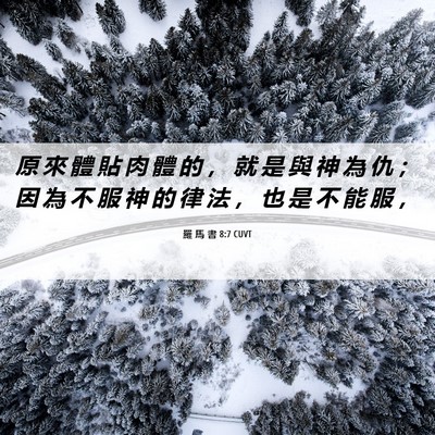 Picture 06 - 羅 馬 書 8:7 CUVT - 原 來 體 貼 肉 體 的 ， 就 是 與 神 - Bible Verse Picture
