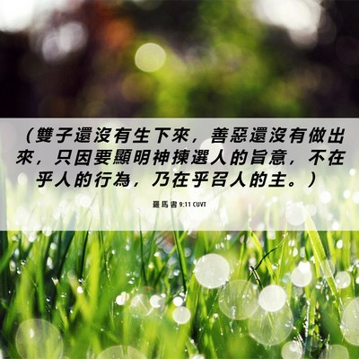 Picture 06 - 羅 馬 書 9:11 CUVT - （ 雙 子 還 沒 有 生 下 來 ， 善 惡 - Bible Verse Picture