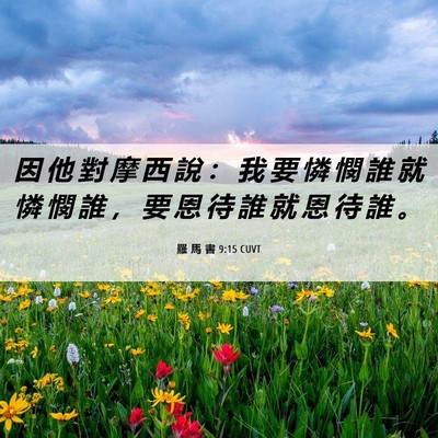 Picture 06 - 羅 馬 書 9:15 CUVT - 因 他 對 摩 西 說 ： 我 要 憐 憫 誰 - Bible Verse Picture